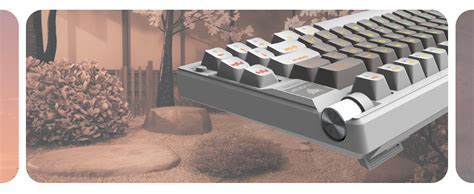 EvoFox Ronin Wired Mechanical Gaming Keyboard | 9 Layer Gasket Sound ...