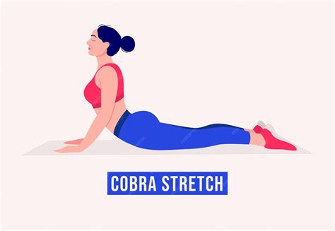 Premium Vector | Cobra Stretch exercise Woman workout fitness aerobic ...