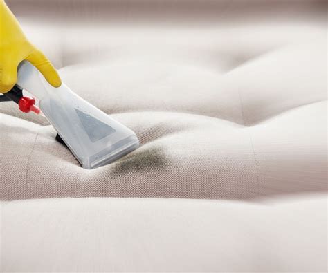 How to steam clean a couch: 5 easy tips from experts | Homes and Gardens
