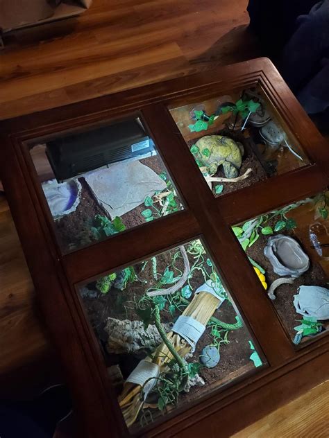 DIY Coffee Table Corn Snake Enclosure : r/cornsnakes
