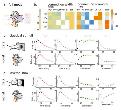 Python Cell Resonance Modelling 的图像结果