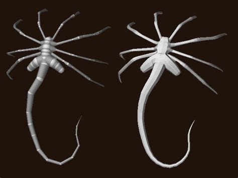 Image result for Alien Face Hugger Latching to Face