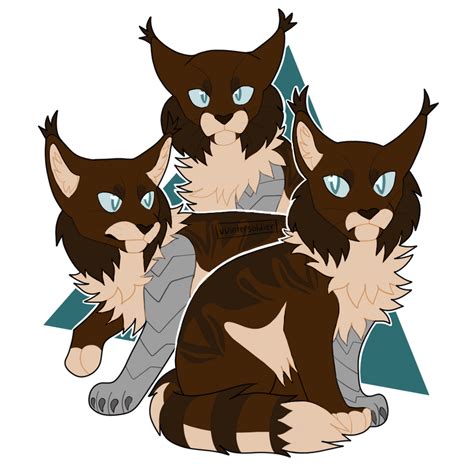 Image result for Bucky Python Tutorial 1