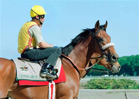 Belmont winner, prominent sire Lemon Drop Kid dies at 28