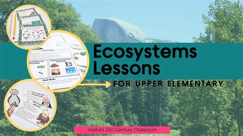 Ecosystem Lesson Plan 的图像结果