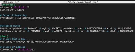 Image result for Wire Guard Configuration
