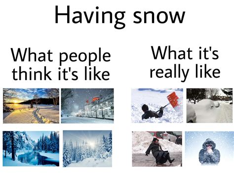 Snow Way! The Ultimate Snow Memes for Some Seriously Frosty Laughs ...