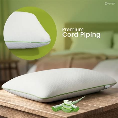 Buy BOUTIQUE LIVING Aloe Vera Pillow - 69x43cm from Boutique Living at ...