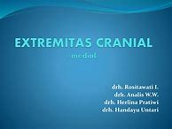 Image result for extremitas