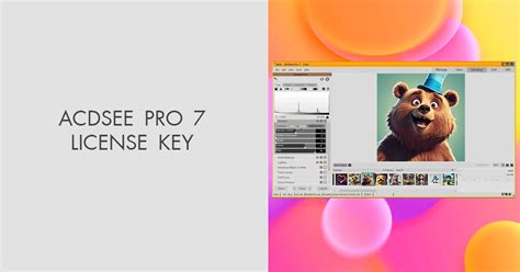 Image result for ACDSee 8 Pro License Key
