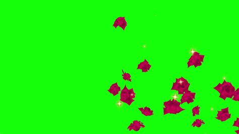 Image result for Red Particle Loop