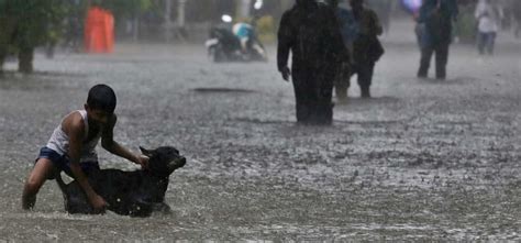 Mumbai Police Officer Saves Dog From Drowning In Flood Restores ...
