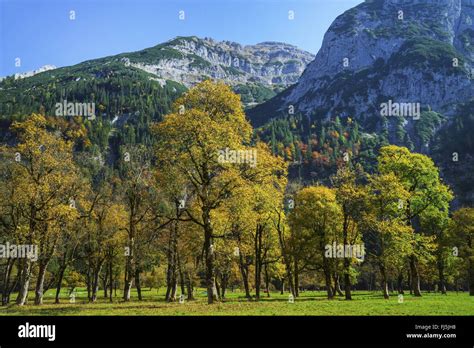 Image result for Simple CNN Example