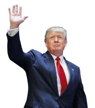 Donald Trump PNG, Donald Trump Transparent Background - FreeIconsPNG