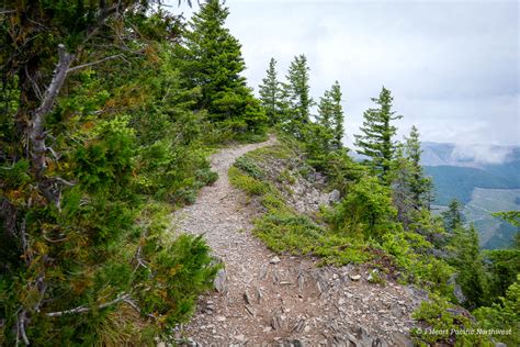 I Heart Pacific Northwest