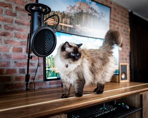 Computer Inside Desk 的图像结果