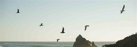 Careers | Purpose Studio