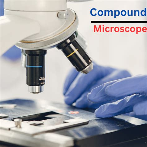35 Laboratory Apparatus and Their Uses - Scientific Equipment