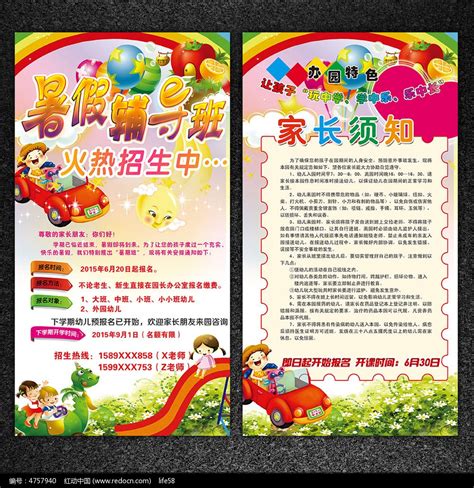 幼儿园暑假招生宣传单设计_红动网
