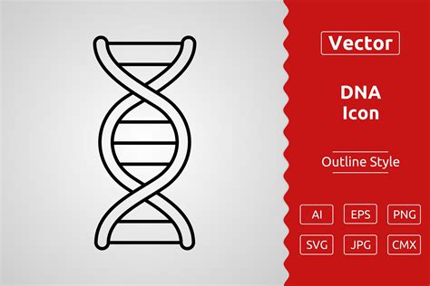 DNA Vector 的图像结果