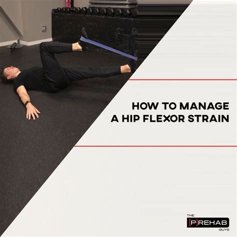 Rehabilitation Exercises For Hip Flexor Strain at Lucile Hart blog