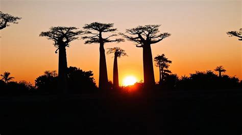 LE VEZO BEACH HOTEL (Morondava) - Hotel Reviews & Photos - Tripadvisor