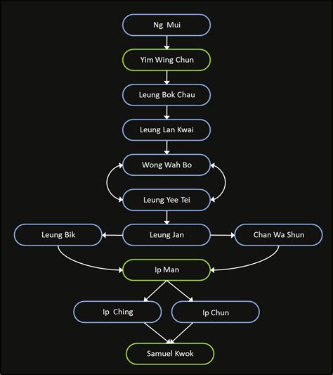 Wing Chun Martial Arts History | maravilhosamentegravida