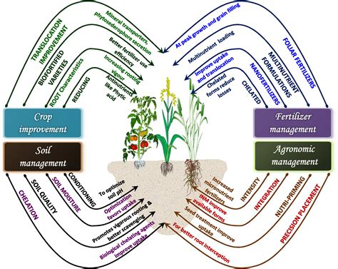 Crop Management Practices 的图像结果