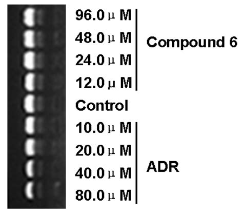 Anthracenedione Derivatives as Anticancer Agents Isolated from ...