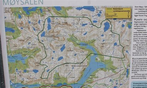MØYSALEN NASJONALPARK (2026) All You Need to Know BEFORE You Go (with ...