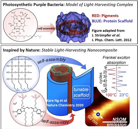 Nature Chemistry 的图像结果