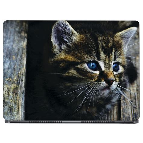 Crazyink Blue Eyes Kitten Laptop Skin (15 to 15.6 inch) - Buy Crazyink ...