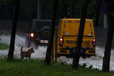 What to know about Typhoon Ragasa, the strongest storm of the year