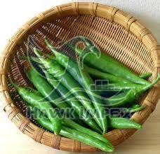 Fresh Green Chilli Exporter, Supplier from Mahesana