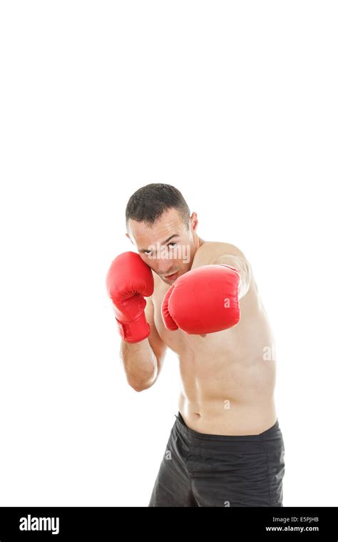 Boxer Boxing 的图像结果