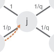 Image result for Biased Random Walk for Rivers Python