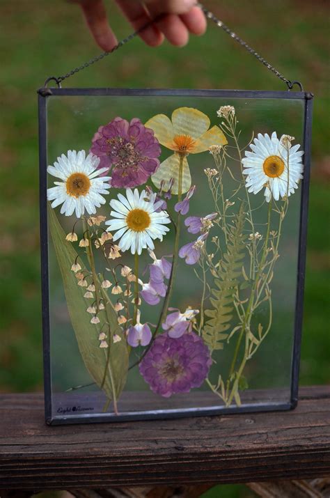 Fern daisy pressed flower frame – Artofit