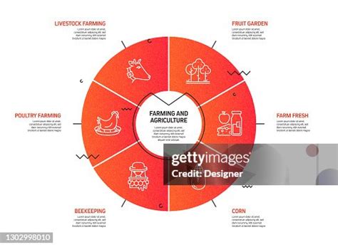 Agriculture Process 的图像结果