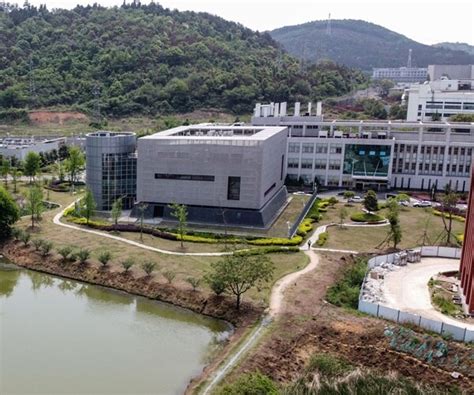 Wuhan Lab Denies It Was Studying COVID-19 Strain | Newsmax.com
