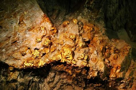 湖南发现更新世晚期动物化石洞穴地点（组图）
