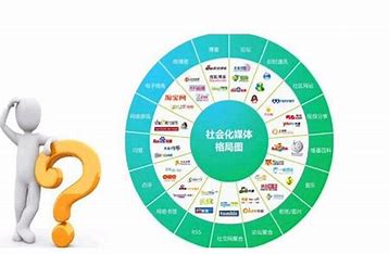 专业网站seo推广公司 的图像结果