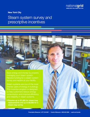 Fillable Online Steam system survey and prescriptive incentives - ALB ...