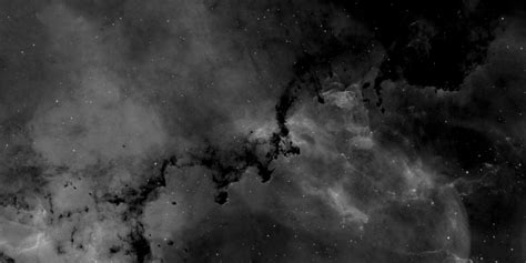 Image result for Alien Fear