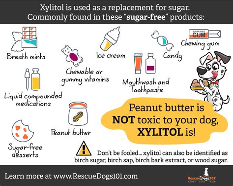 Your dog, peanut butter, and xylitol