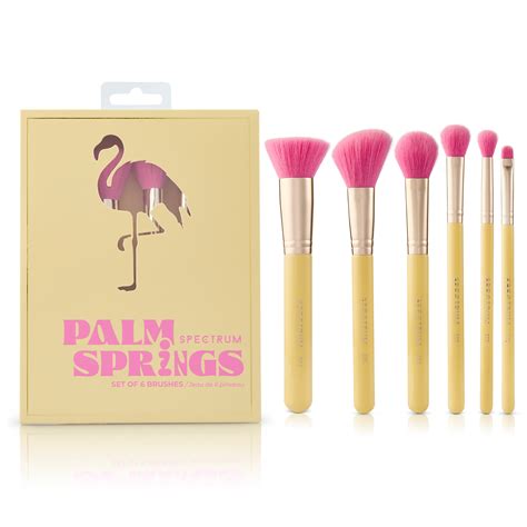 Palm Springs 6 Piece Brush Set – Spectrum Collections US