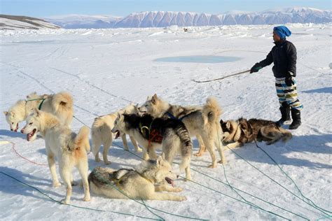 Inuit Definition, History, Culture, Facts Britannica, 52% OFF