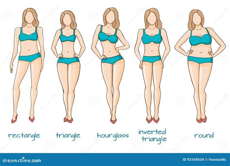 Body Types Ectomorph Mesomorph Endomorph Vector Illustration ...