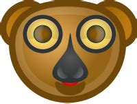 Sharing your Nepomuk Repository