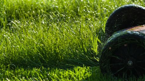 How to cut wet grass: 5 tips for safer mowing