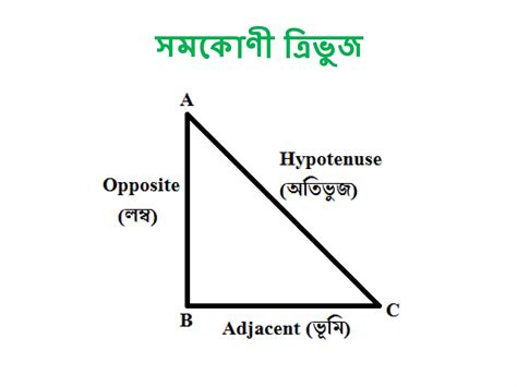 Image result for Trigonometry Formula Tutorial